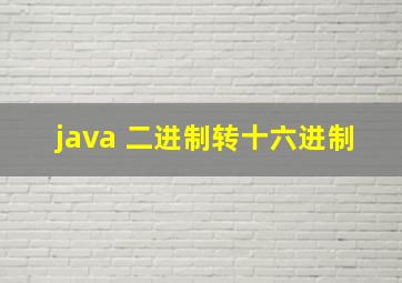 java 二进制转十六进制